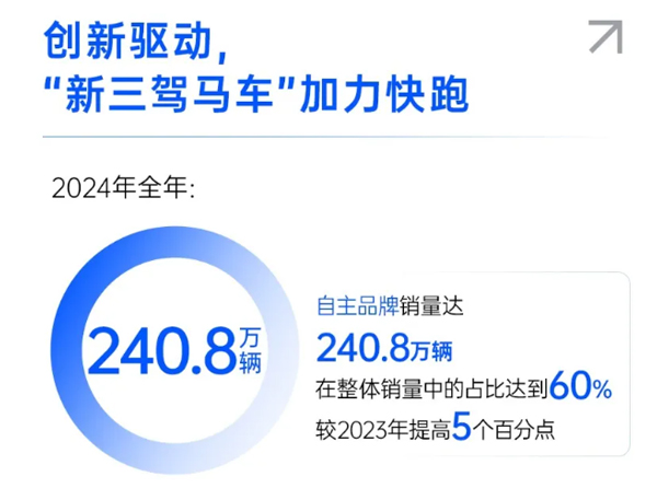 一锤定音2024中国车市盘点之八：在变革中突围，ng28相信品牌的力量破局前行