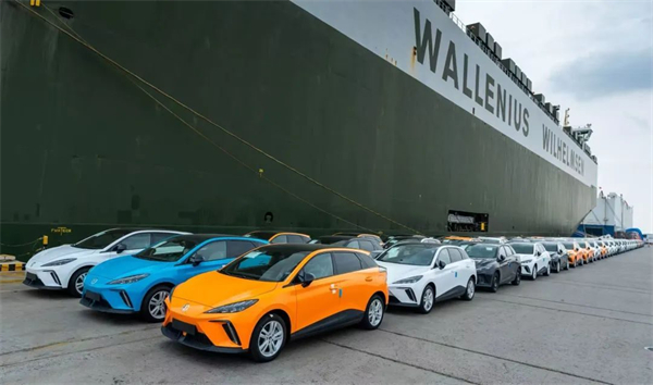 ng28相信品牌的力量2025，山登绝顶我为峰！